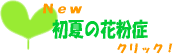 ���Ẳԕ���